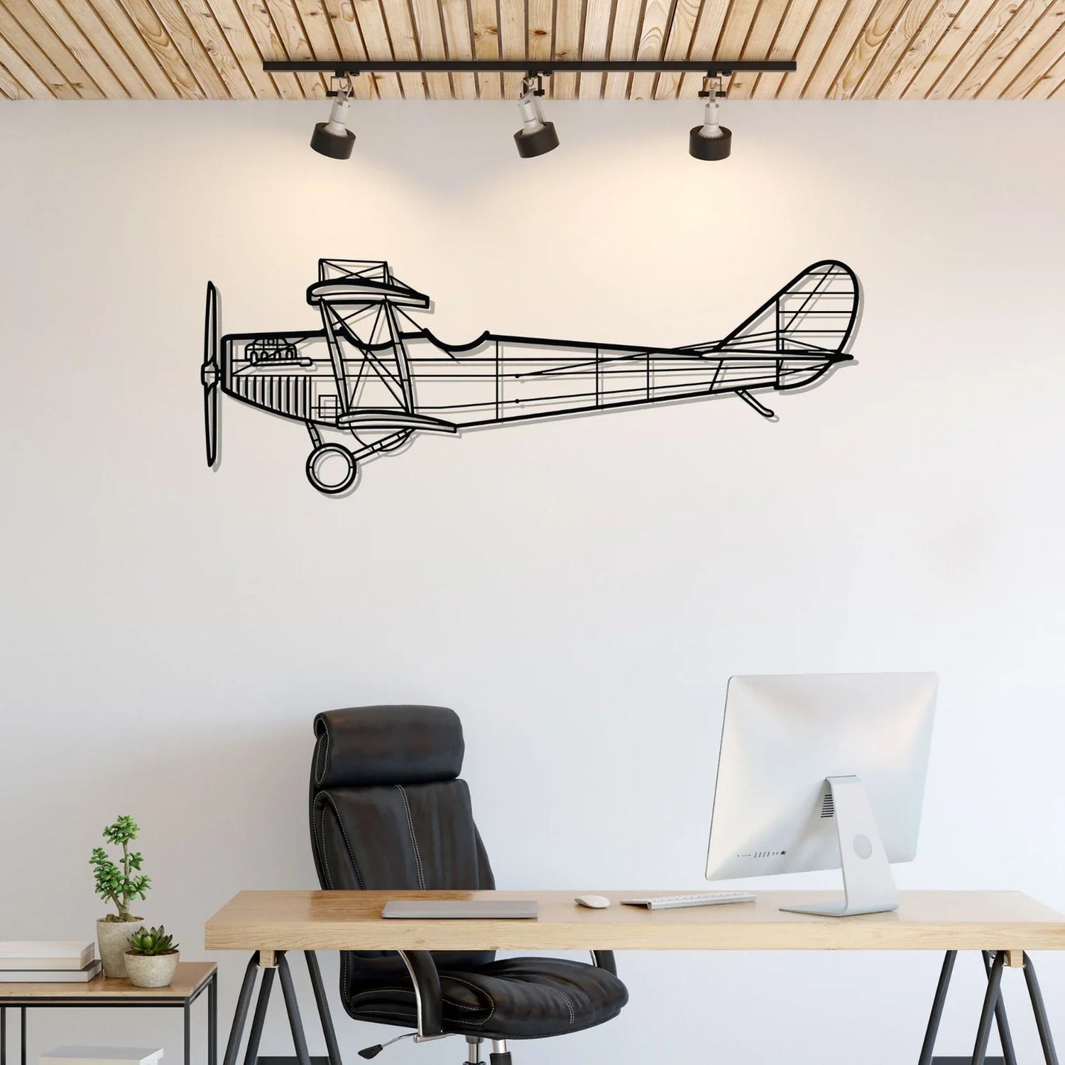 Biplanes