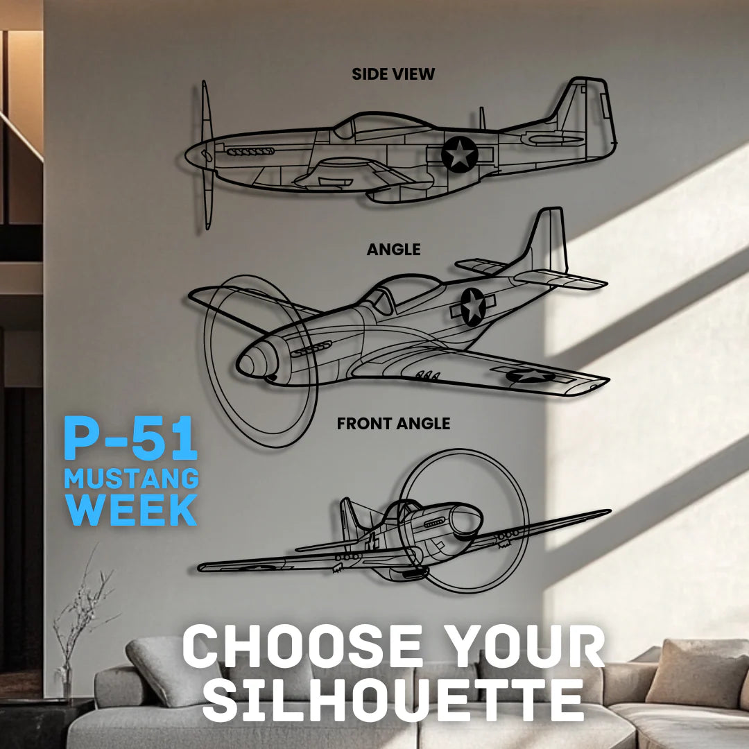 P-51 Mustang Silhouette Metal Wall Art